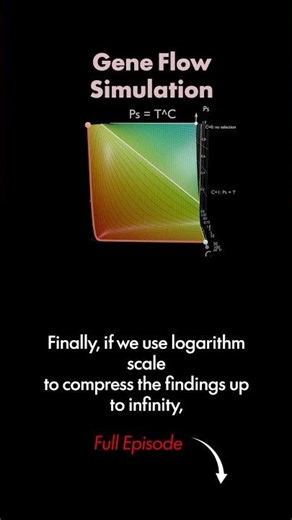 Mathematics of Gene Flow Simulation