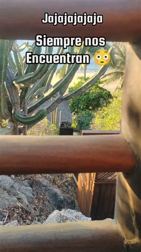 JAJA #shortsfeed #shortsyoutube #vlog #shorts #short #shortstip #vloglife #vlogger #vlogging #mom