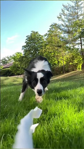 Creative Phone Photography Tricks Tutorial