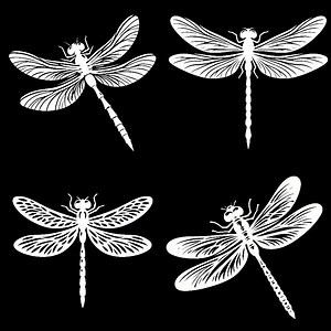 Dragonfly SVG Bundle: Vector Clipart for Cricut & Silhouette (digital Download - Etsy Australia
