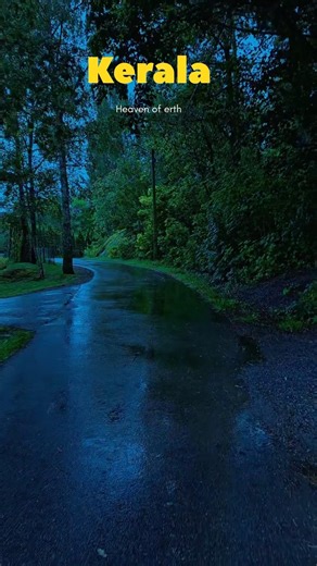 “Kerala Jungle Beauty 😍🌿 | India ka Hidden Paradise 🇮🇳 #shorts” #shortsfeed #shortvideo