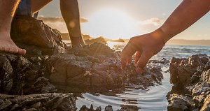 Invest in New Zealand | Invest New Zealand home