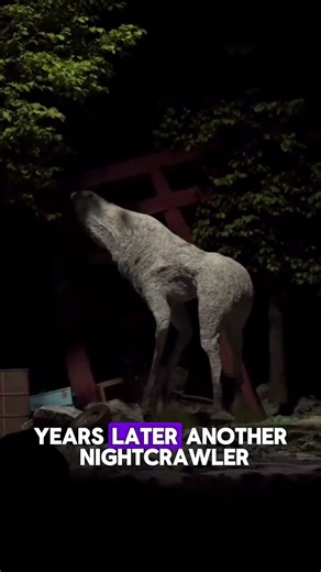 The Fresno Nightcrawler Explained: One of America’s Strangest Cryptids