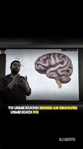 Gyan Institute, Pathankot on Instagram: "Structure of brain : Gyri & sulcus 📈 . Edit by @rj_edit_9"