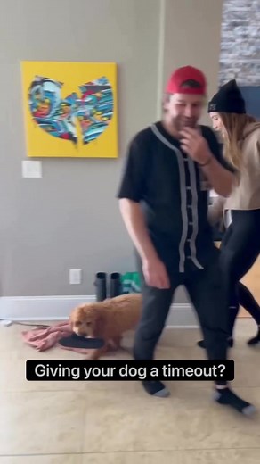 Doggie timeouts? I’m a really big fan of using the crate for an overstimulated or an overly tired dog that needs to go down for a nap, because typically when they are overly tired, you see an excessive amount of biting Barking and nippin. With that being said, putting your dog in the crate, because they made a mistake will not fix your problem. With children, you can tell them to go to the room and think about what they did, but that is not the case with dogs. They are going to sit into the crat