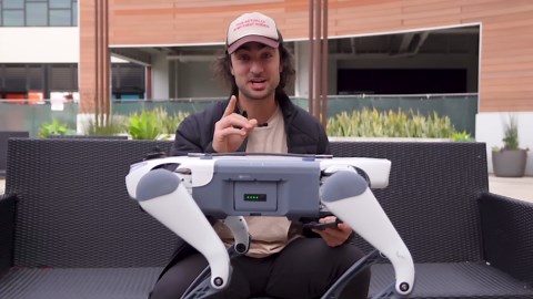 I Tested AI Dogs vs Real Dogs