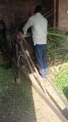 deiry form #deiryfarm #viral #farmerstruggle #youtubeshorts #trending #explore