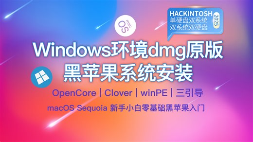Windows环境下dmg原版黑苹果系统安装OpenCore Clover winPE三引导，2025年最新Hackintosh从入门到上手新手小白零基础黑苹果