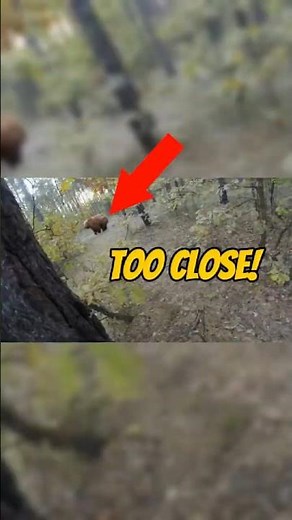 Massive Bear Attack Man in to the Woods Caught on GoPro: Terrifying Chase! 😱