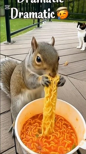 “Dramatic Squirrel vs Spicy Noodles 🌶️😂” #shorts