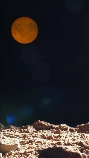 #Apollo11 #BuzzAldrin #NASA #MoonLanding #SpaceHistory #NoCopyright