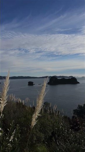 Golden Sunrise Over Coromandel, New Zealand