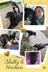 2.8K views · 69 reactions | Hitchens & Shelby - together forever...