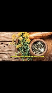 30 Surprising Benefits of Hypericum perforatum (St. John’s Wort) and How to Use It at Home Part 9 | ONE7
