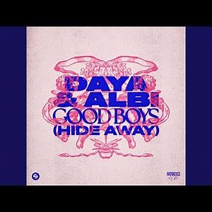 Good Boys (Hide Away)