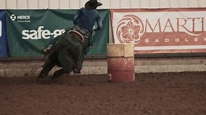 Classic Equine Zone Series Saddle Pads TV Spot, 'Impact Frequencies'