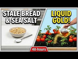 I Turned Stale Bread and Sea Salt Into Liquid Gold in 48 Hours!