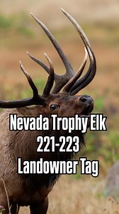 Nevada Trophy Elk 221-223 Landowner Elk Tag! Send a DM if interested… Pick your choice on season… | Muley Tines