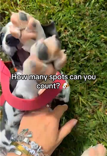 I think I got to 101 😋😝