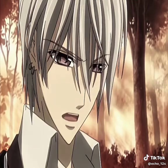 Explore Vampire Knight: The World of Zero Kiryu