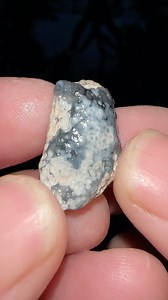 Tiny Coral Geode Cut Open.. what’s inside? 🪸 #rocks #crystals #geology #gems #fossils #minerals | CoralGeodes