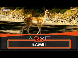PlayStation 2 - The Third Place "Bambi" - Spot TV (2001) HQ