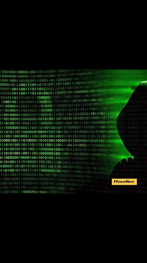 The National Privacy Commission confirms it has received reports of data breach from three companies recently -- HMO provider Maxicare, Robinsons Land and Toyota Philippines. Cybersecurity watchdog Deep Web Konek says it has monitored the dark web and found that data from Maxicare's member clients were being sold to the highest bidder. #KnowMore about the latest cyberattack here: https://businessmirror.com.ph/2024/06/19/maxicare-breach-latest-in-private-sector-npc-probes-as-data-of-1000-major-fi