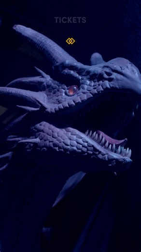 Harry Potter™: The Exhibition takes you behind-the-scenes of the beloved films to explore them like never before. Opening May 24th — tickets are on sale now! ⚡ | Harry Potter: The Exhibition | Facebook