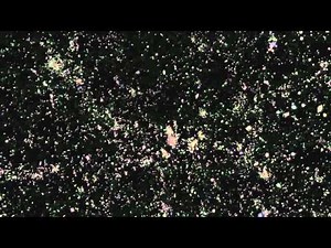 Amazing Universe Fly-Through: Largest Sky Map Revealed | Video