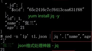 jq是一个轻量级的命令行JSON处理工具，它可以用于解析、过滤、映射和转换JSON数据。