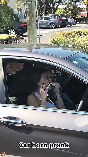 Car horn prank #prank #funny #usa #tiktok #fyp | Scare Pranks