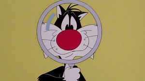 We tawt we taw a puddy tat! 😼👀 Tune in NOW to go sleuthing with Sylvester & Tweety- it's the purrrrfect way to spend your Saturday morning! sylvesterandtweety #animatedclassics #cartoonnostalgia #discoveryfamilychannel #childhoodmemories #looneytunesforever #funwithtoons #familyfun #toonlove #nostalgia | Discovery Family Channel