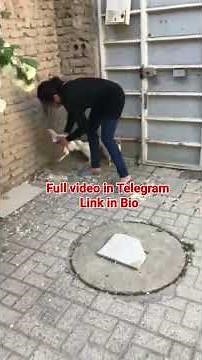 Chicken slaughter by woman