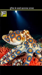 World Most Dangerous Animals #facts #amezingfacts