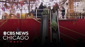 1,200 trees arrive on Christmas Tree Ship at Navy Pier