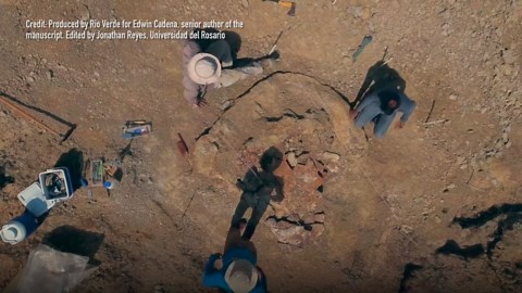 Uncovering the truth behind a giant turtle shell discovery