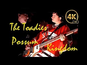 The Toadies - Possum Kingdom (1995) - 4K HD