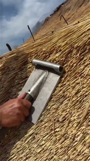 Traditional Thatched Roof Finishing | Skilled Craftsmanship Using a Legget