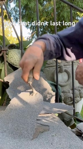 Is this stuff any good?