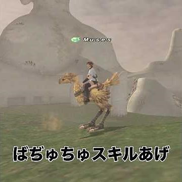 FF11 羽術スキル上げ