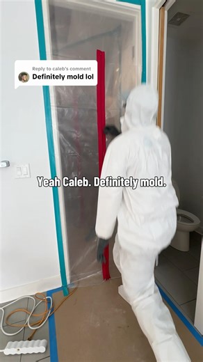 What “Definitely Mold” Actually Looks Like Behind Your Georgetown Home’s Walls