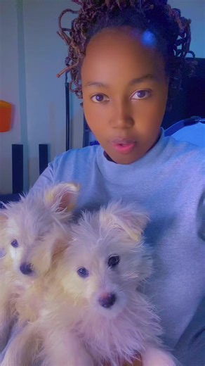 Fast-Growing Snow and Snipe in Nature