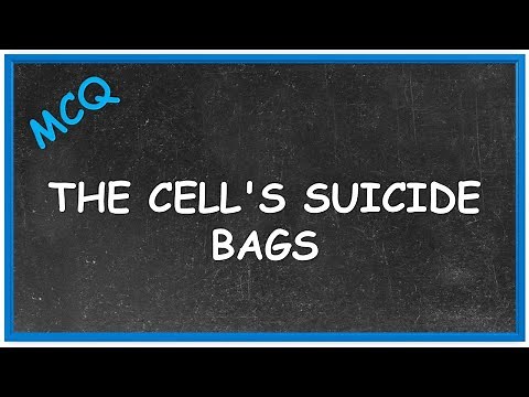 Which Organelle Causes Autodigestion? | MCQ | Cell Biology