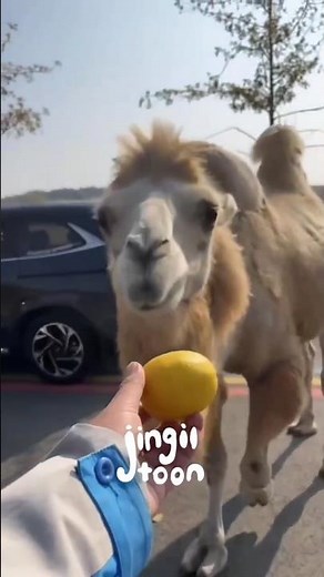 رفیق تقدیم‌بهت