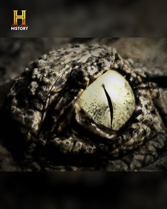 Uma das grandes civilizações pré-adâmicas da Bíblia era reptiliana e humanóide e é a chamada “Serafim”... se a representação no Jardim do Éden for a de uma raça anterior à raça humana. Significa isto que continua a habitar a terra após a chegada dos primeiros homens? #AlienígenasDoPassado | HISTORY