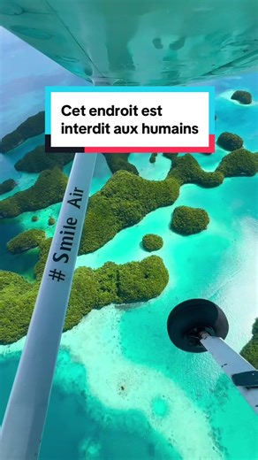 Découverte des 70 Islands aux Palaos