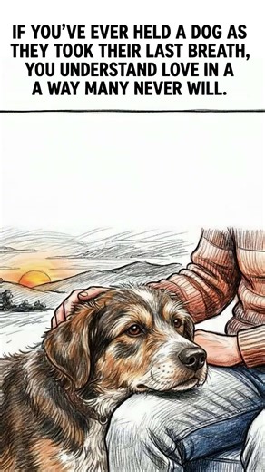 A love that stays forever. 🐾🤍 | iHeartDogs