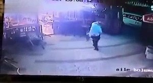 Cat attacks a dog and its owner! | The Savage Diary