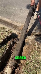 10 foot long POOP ! 👀 | Kerri Fossett