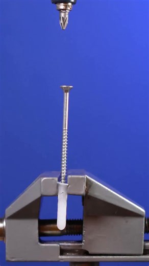 Screw anchor (ASMR close up / macro) #closeup #macrovideo #macro #slowmo #slowmotion #diy #fastmotion #macrobeauty #satisfying #satisfyingvideo #satisfyingasmr #asmrvideo #asmrsounds #closebluemonkey #object #zoom | Close Blue Monkey